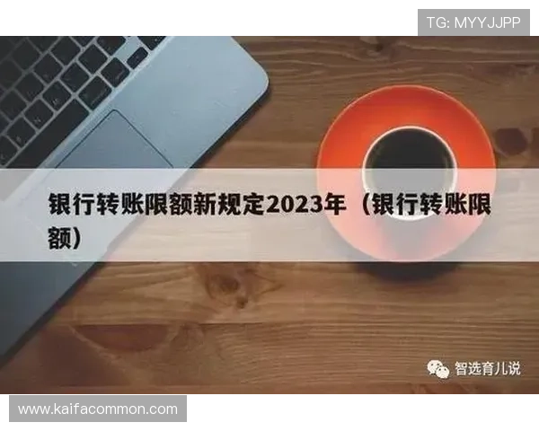 通过k8凯发官方入口快速存取款，享受便捷高效的资金操作流程